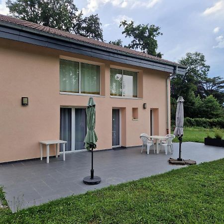 Le Petit Atelier Villa Excénevex Eksteriør billede